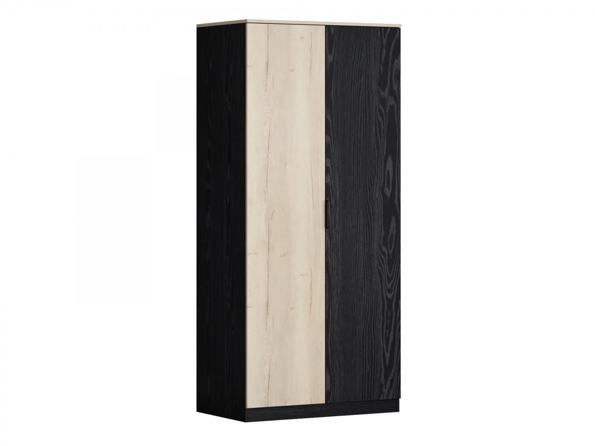 Шкаф для одежды ДЕЛЬТА Лофт-13.02