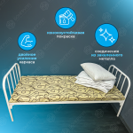 Кровать одноярусная металлическая Дебют-3