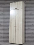 Шкаф для одежды Ш-2.1А MW